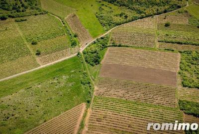 Teren extravilan - 3654 mp Dealul ?iriei - 3