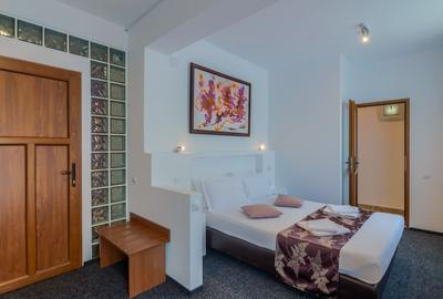 Casă individuală cu 12 camere cu Canalizare în Știrbei Vodă - 4