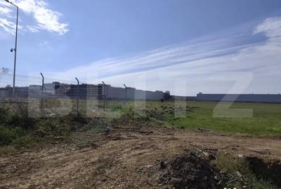 Teren de 10000 mp, în Nufărul - 3