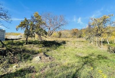 Spațiu comercial, în Central