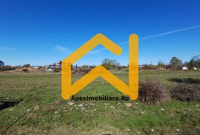 Teren Construcții intravilan de 1225 mp, în Corbeanca - 13