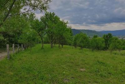 TEREN DE VANZARE PENTRU INVESTITII IN MANASTIREA CASIN - 3