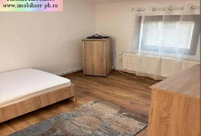 Vila P+1 de inchiriat: Central(str.Valeni) Vila P+1 de inchiriat: Central(str.Valeni) - 18