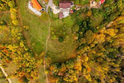 Film! Teren in peisaj mirific, Parcul Natural Piatra Craiului, Moieciu, Magura, - 6