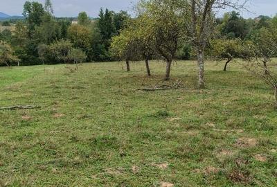 Casă individuală cu 3 camere cu Teren 18000 Mp în Vârfurile - 4