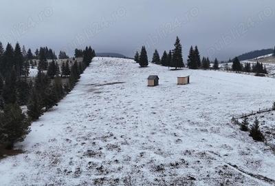 Teren de 25731 mp, în Breaza - 2