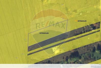 Teren intravilan de vanzare 2.307 mp - Salicea, comuna Ciurila - 2