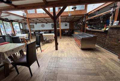 Spatiu comercial alimentatie publica, casa piratilor, 1115mp, manastur - 5