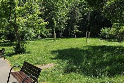 Apartament cu 2 camere semidecomandat în Tei - 18