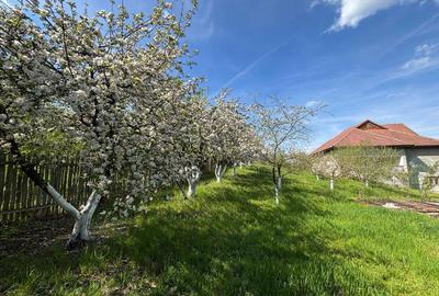 Casă cu 4 camere în Bărbătești - 2