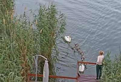 EXCLUSIVITATE! VILA UNICAT D+P+1 ZONA MAMAIA-SAT - 14