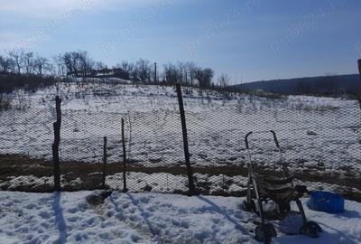 Casa de vanzare in satul ABRUD comuna ADAMCLISI - 1