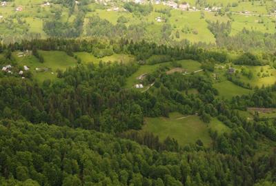 Casă cu 4 camere în Horea - 7