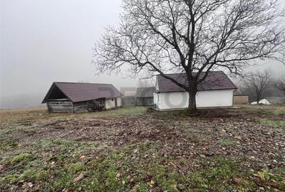 RECO, casa in Sinteu, aproape de Huta Slavia - 1