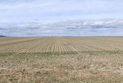 Spațiu comercial, în Adâncata - 4