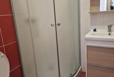 Casă cu 1 camere cu Teren 350 Mp în Dumbrăvița - 13