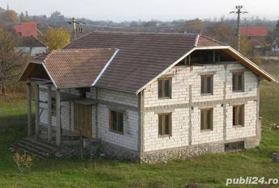 Vand Casa cu 2151 m2 in Paulis - 5