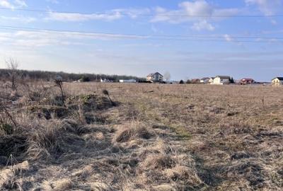 Teren agricol intravilan de 3150 mp, în Brănești - 4