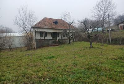 Teren+Casa de vanzare - 1