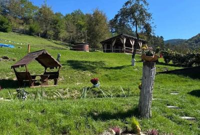 De vanzare pensiune in Com Tasca, Teren 3800 mp, toate utilitatile, 204.990 euro - 5