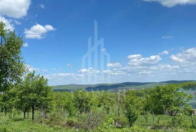 Teren de 1000 mp, în Sibiel - 4