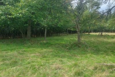 Teren 15826 mp + padure 1 ha - 5