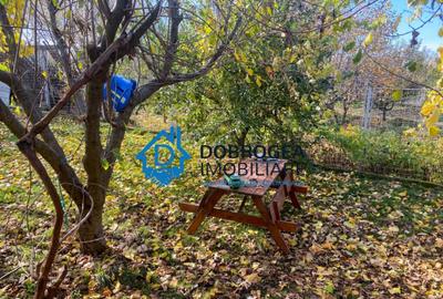 Vila Mineri, D+P+1, teren 1600 mp - 15