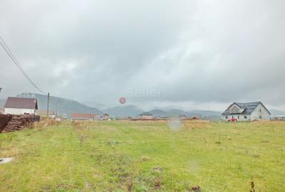 Teren Constructie Casa - 5