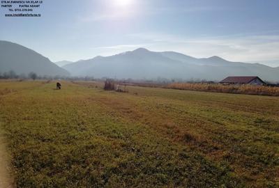 Teren de 2646 mp, în Alexandru cel Bun