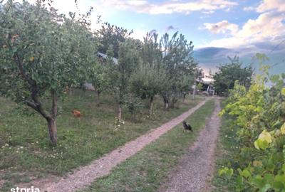 Casă cu 5 camere cu Teren 10000 Mp în Mihai Eminescu - 2