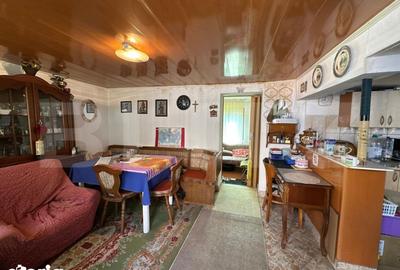 Casă cu 5 camere cu Teren 3000 Mp în Homorod - 10