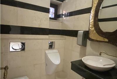 Casă individuală cu 8 camere cu Teren 161 Mp în Cișmigiu - 12