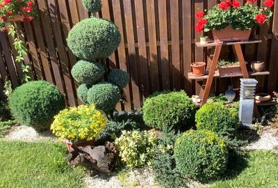 Casă individuală cu 5 camere cu Canalizare în Central - 2