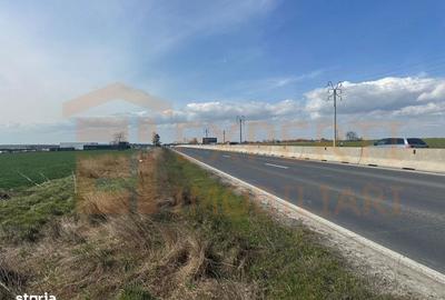 Spațiu comercial, în Valu lui Traian - 7