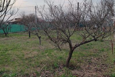 Casă cu Teren 900 Mp în Toporu - 5