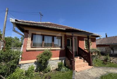 Casa plan parter cu 4 camere, 160 mp si 13000 mp teren, zona - 3