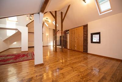 Vila de vanzare D+P+M in zona Muncii - 7