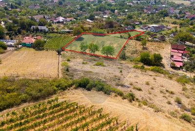 Teren Construcții intravilan de 4184 mp, în Miniș - 3