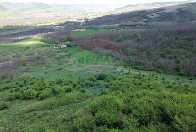 Domeniu - 66 Hectare - Teren deosebit Copsa Mica cu desch... - 8