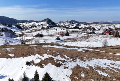 Teren agricol extravilan de 1924 mp, în Șirnea - 2