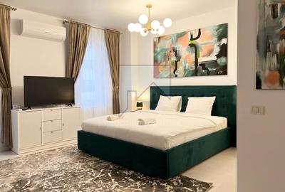 Garsonieră decomandată în Viilor - 1