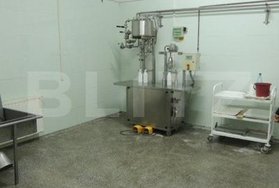 Cladire de vanzare (fosta fabrica de lactate) Cladire de vanzare (fosta fabrica de lactate) - 16