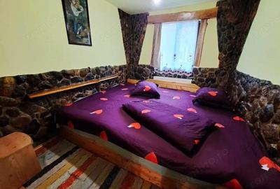 Casă cu 6 camere cu Teren 1500 Mp în Vale - 6