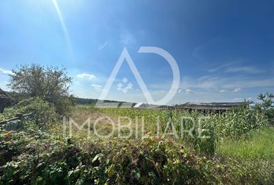 Teren intravilan de 3500 mp, în Drăguțești - 7