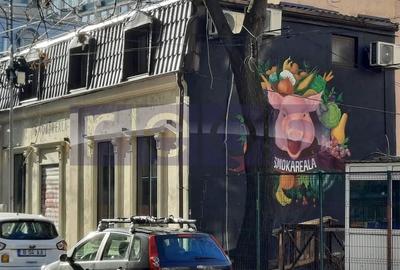 Casă individuală cu 4 camere cu Canalizare în P-ța Romană - 4