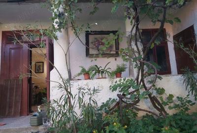 Casă cu 5 camere în Babșa - 7