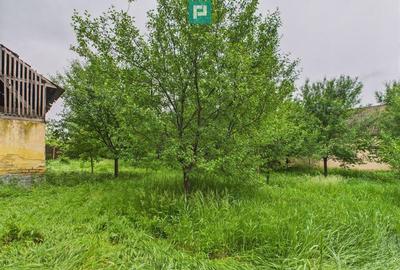 Casa de reabilitat pe teren generos- Comuna Varia? - 7