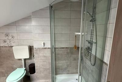 Apartament cu 3 camere în Giurgiului - 12