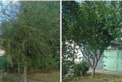 Casa si teren cota parte 3/16 si 3/32, Braila. ID: R2739910 - 2