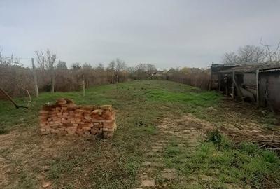 Casă cu 3 camere în Teremia Mare - 4